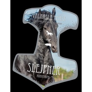 Valhalla Horse Slejpner